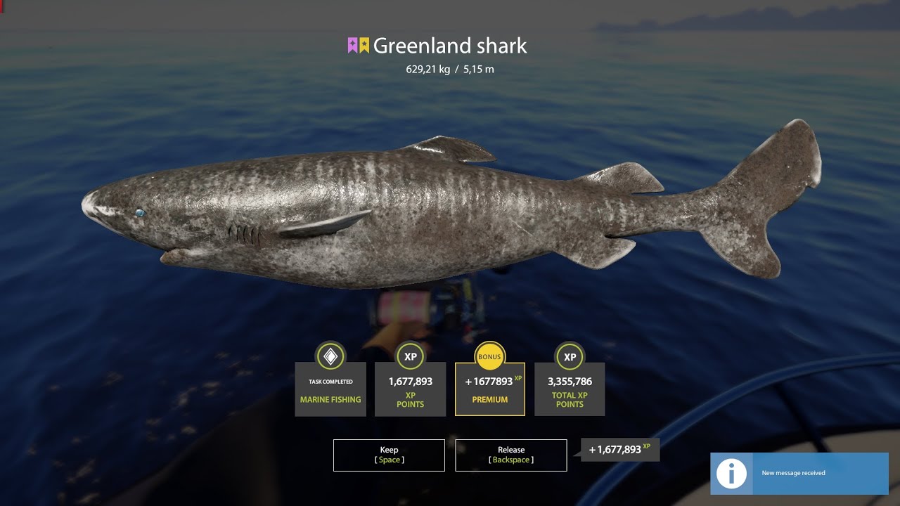 Norwegian Sea spot, Trophy Greenland Shark - #74 - Russian Fishing 4 / RF4