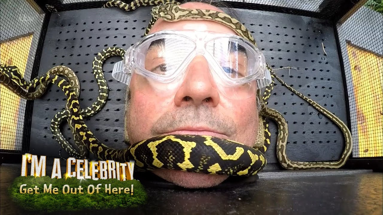 The Most Intense Trial So Far! | I'm A Celebrity... Get Me Out Of Here!