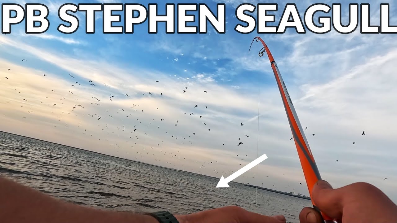 SEAGULL - HOUND - SCHOOLIE BASS | SUCCESSFUL LOW WATER SESSION IN NEW BRIGHTON | PT1 | RIVER MERSEY