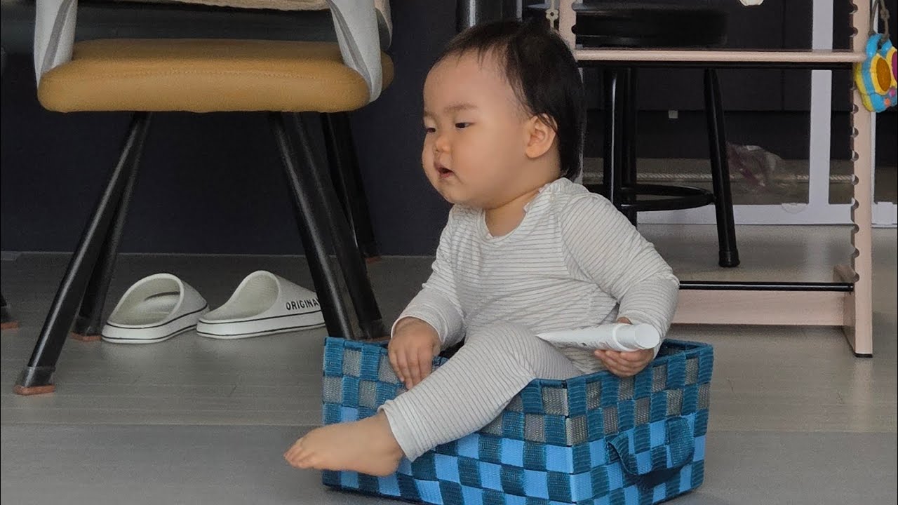 [꼬마쿰]494일 긴 낮잠으로 자유시간을 준 꼬마쿰 260228