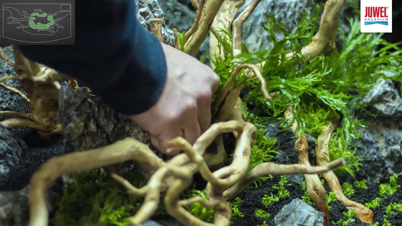 Juwel Aquarium Vision 180 Aquascaping Tutorial