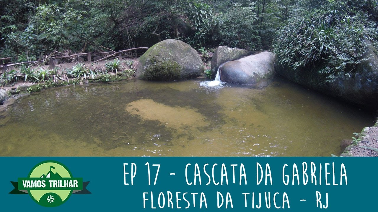 TRILHA DA CASCATA GABRIELA - FLORESTA DA TIJUCA: O QUE FAZER NO RIO) #17