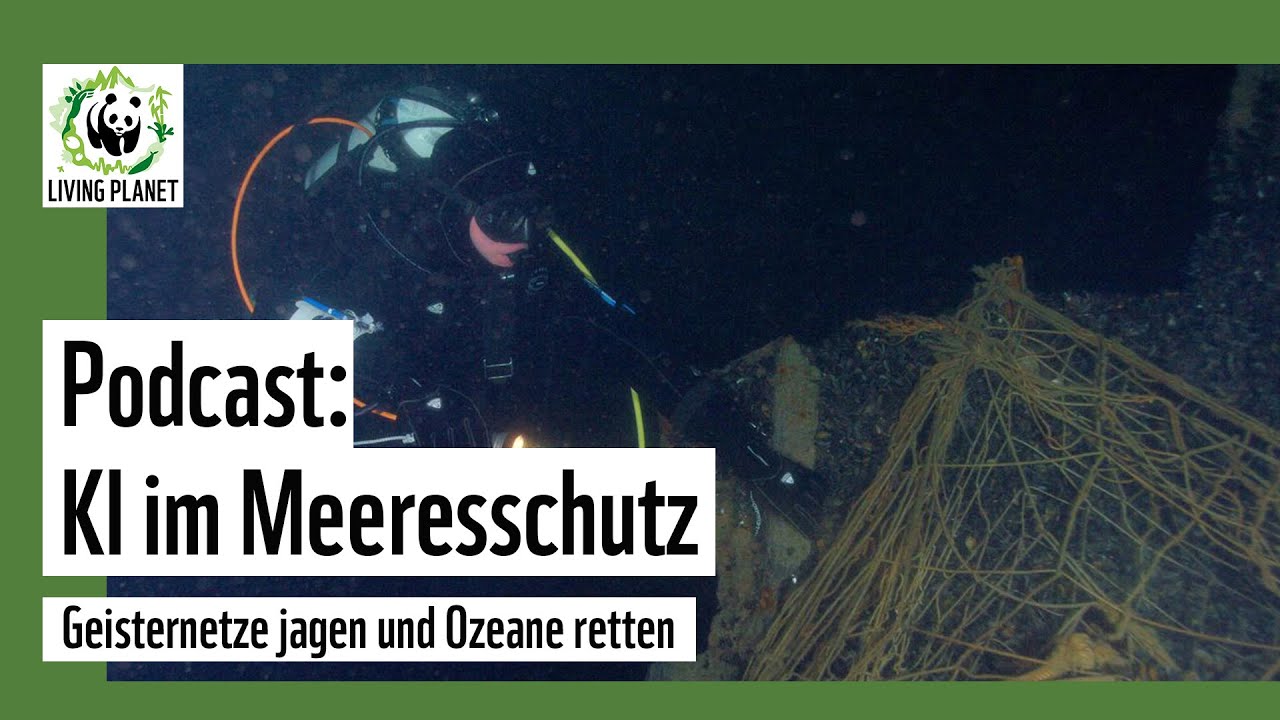 KI im Meeresschutz: Geisternetze jagen und Ozeane retten  - Living Planet &ndash; Der WWF Podcast
