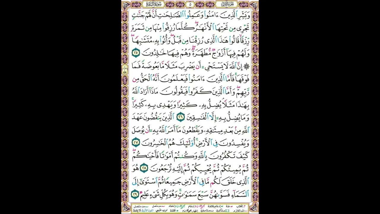 مصحف محمد أيوب مقطع 1/3 - The Quran of Muhammad Ayyoub section 1/3
