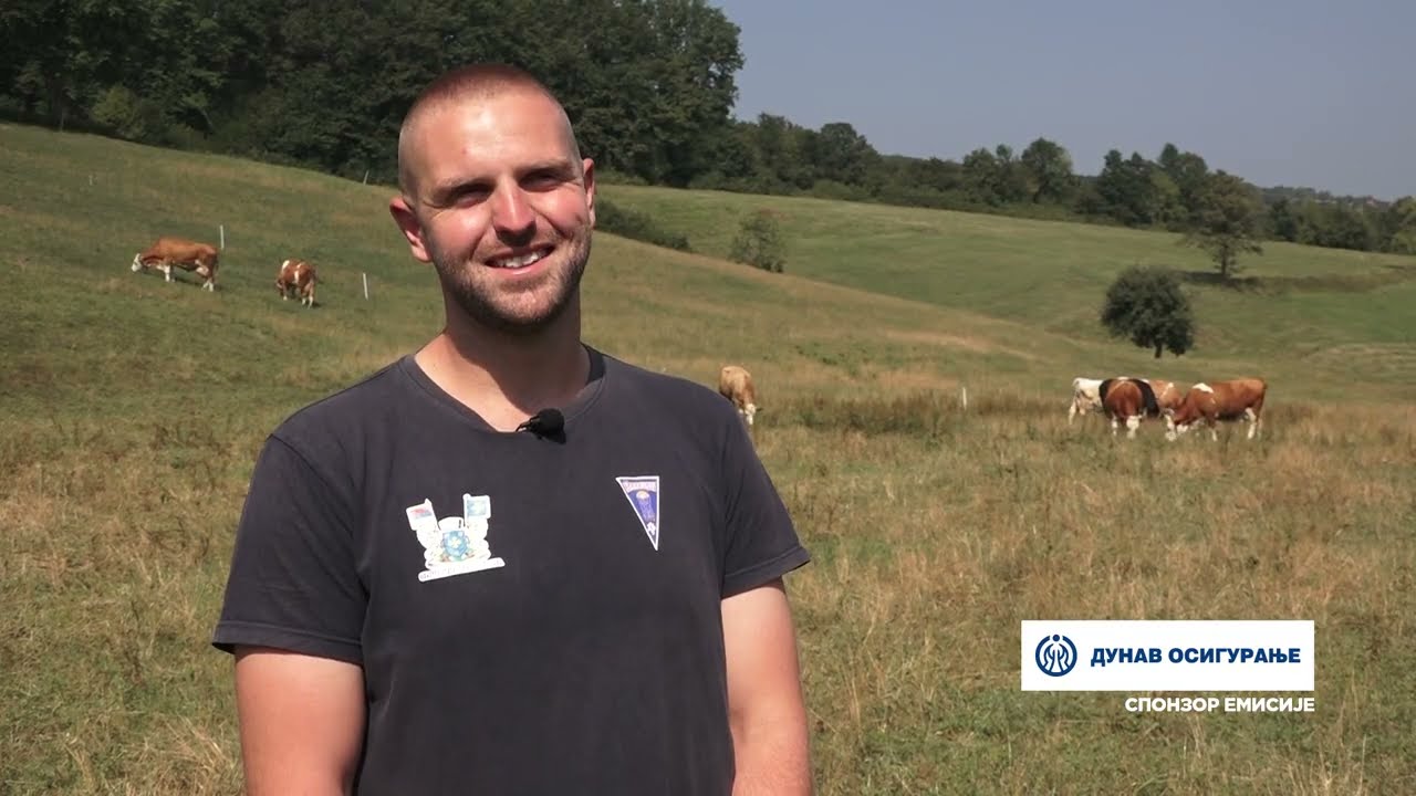 Naša priča ep. 472 12.09.2024. Ljubiša Lazović, Tripkova, simentalska rasa goveda