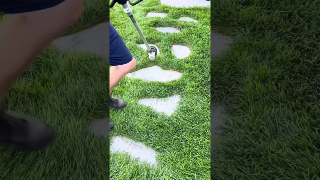 Stepping stone trim sesh. #lawn #lawncare #trimmer