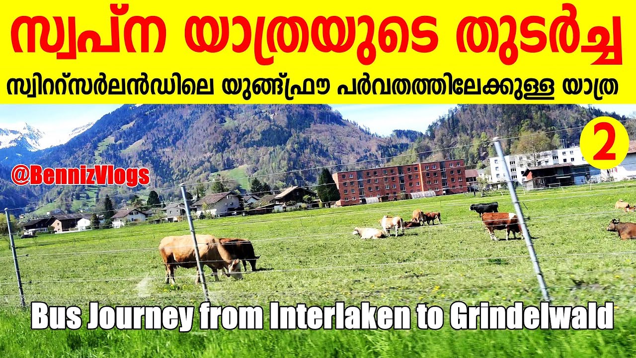 #189 - ബസിന്റെ ജനാലയിലൂടുള്ള കാഴ്ചകൾ | സ്വിറ്റ്സർലാൻഡ് യൂങ്‌ഫ്രൗ യാത്ര | Scenic Route to Jungfrau