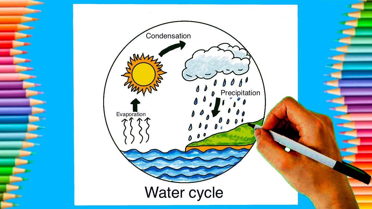 How to draw water Cycle drawing in step by step