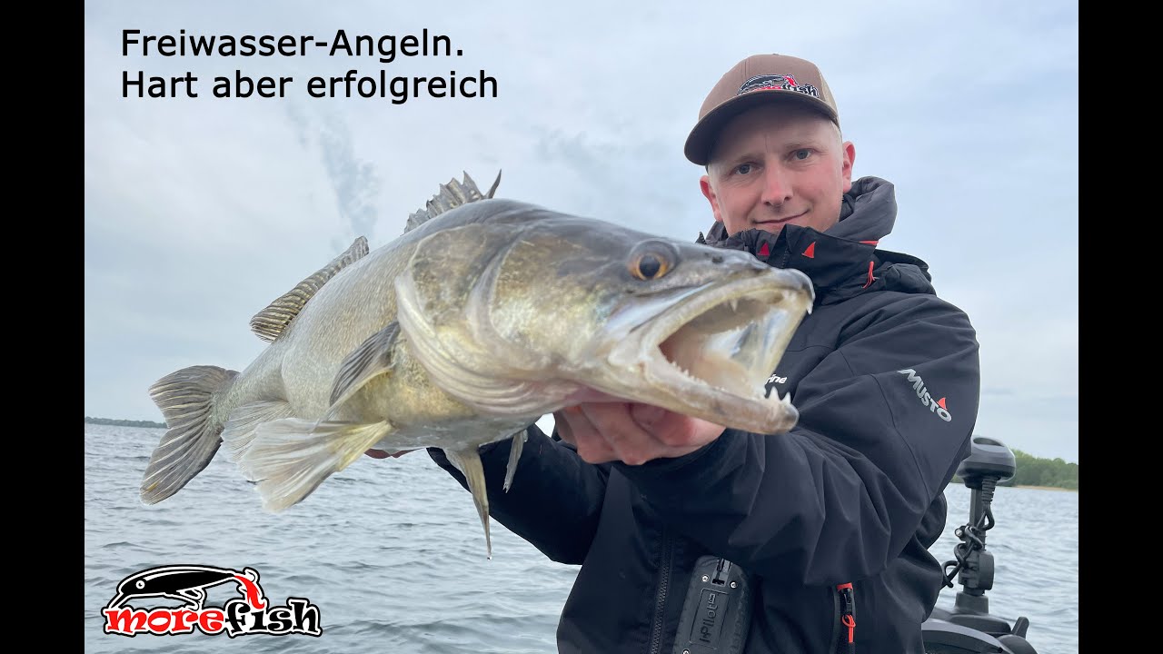Sensationelle Fische - Freiwasser-Angeln an der Müritz