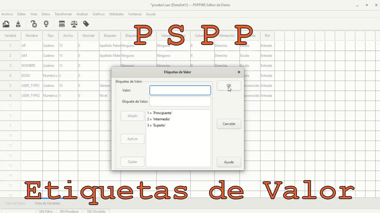 PSPP - Parte 2: Etiquetas de Valor