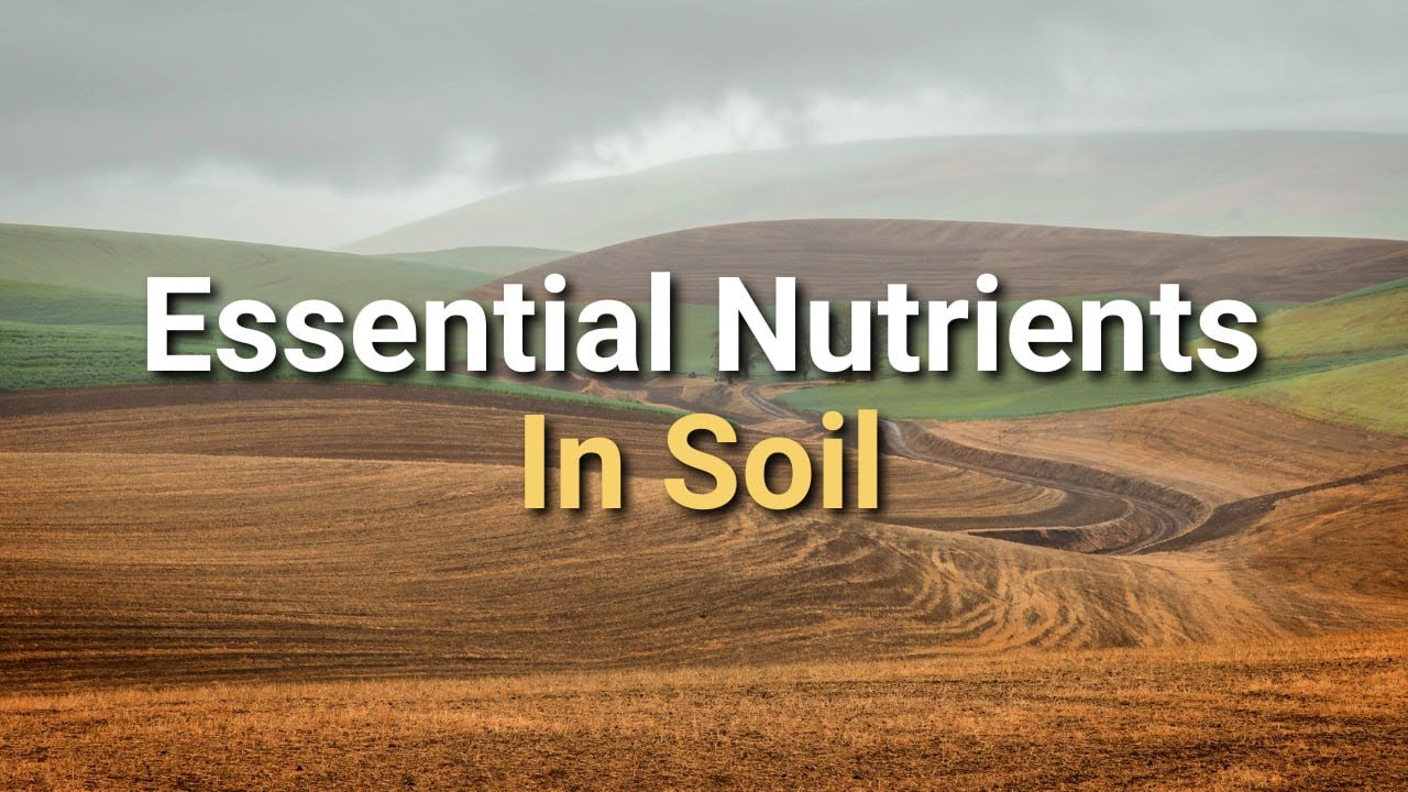 Understanding Essential Soil Nutrients for Agriculture