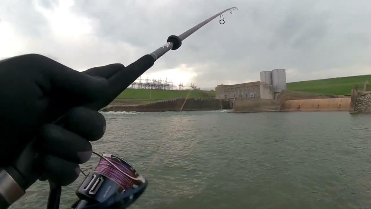 Striper Bass Fishing At Denison Dam Fishing Texoma Texas Ep 2