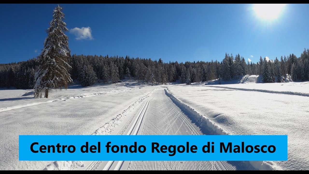 Centro del fondo regole di Malosco