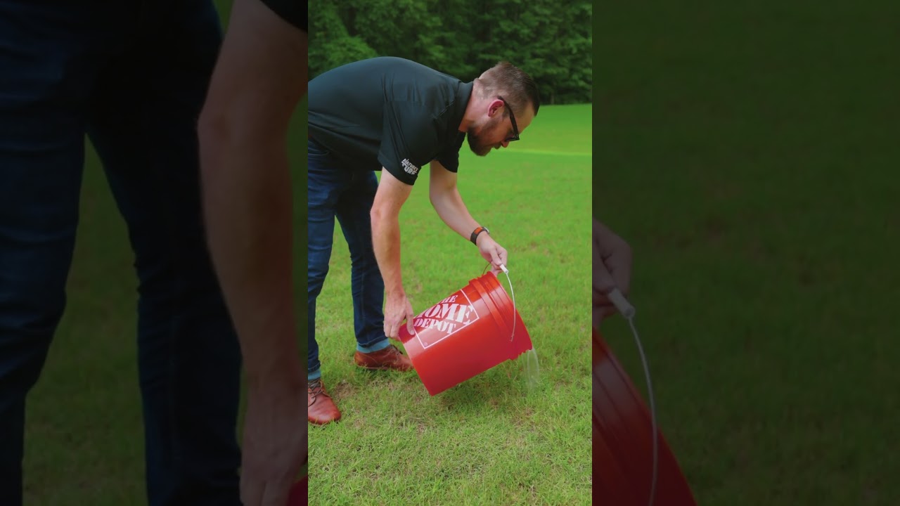 Armyworm Invasion? 😱 The Soap Test That Reveals Hidden Lawn Pests 🕵️‍♂️