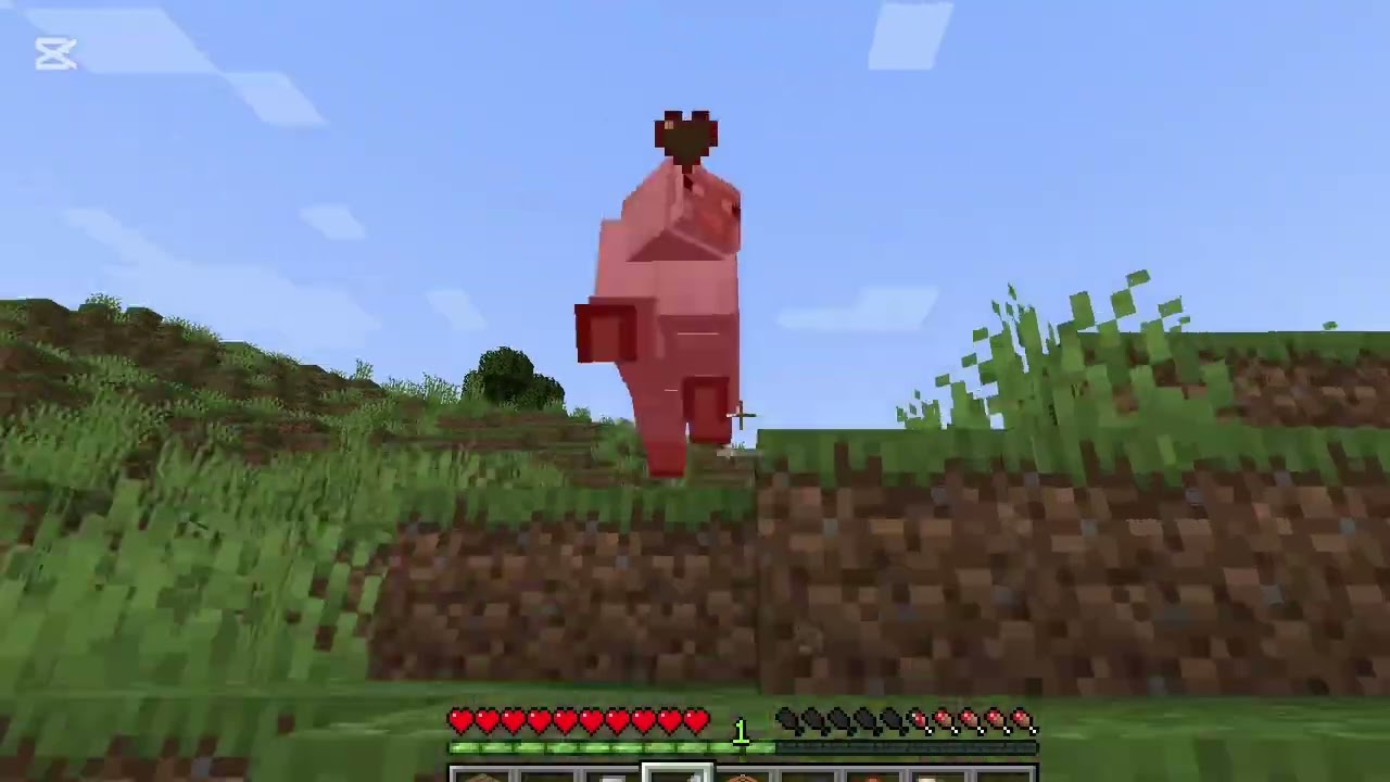 #Minecraft episodio #1