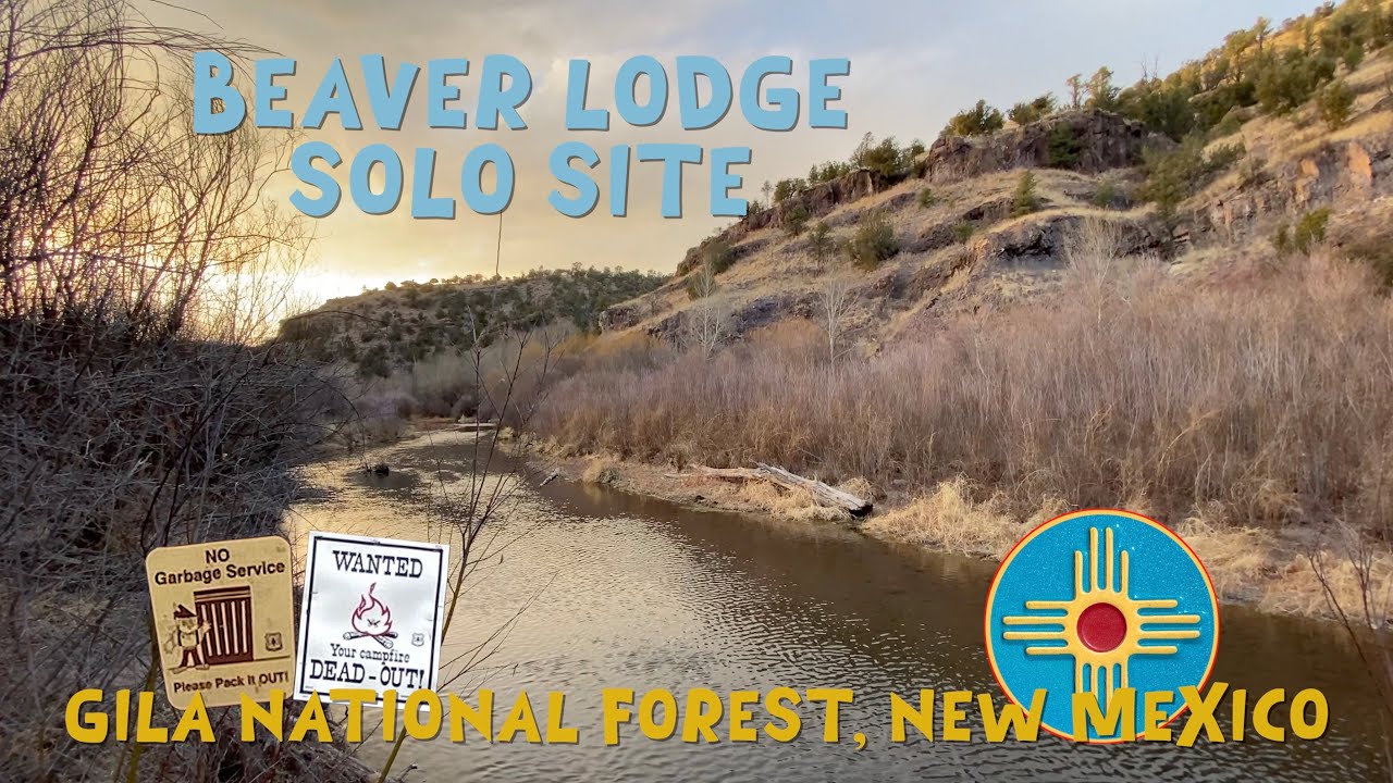 Beaver Lodge Solo Site, Gila National Forest, New Mexico