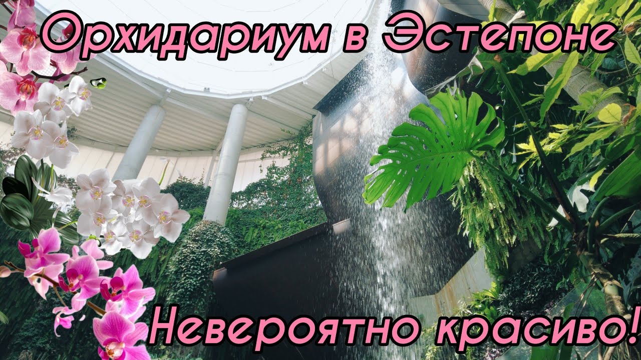 Ещё красивее! Орхидариум в Эстепоне.