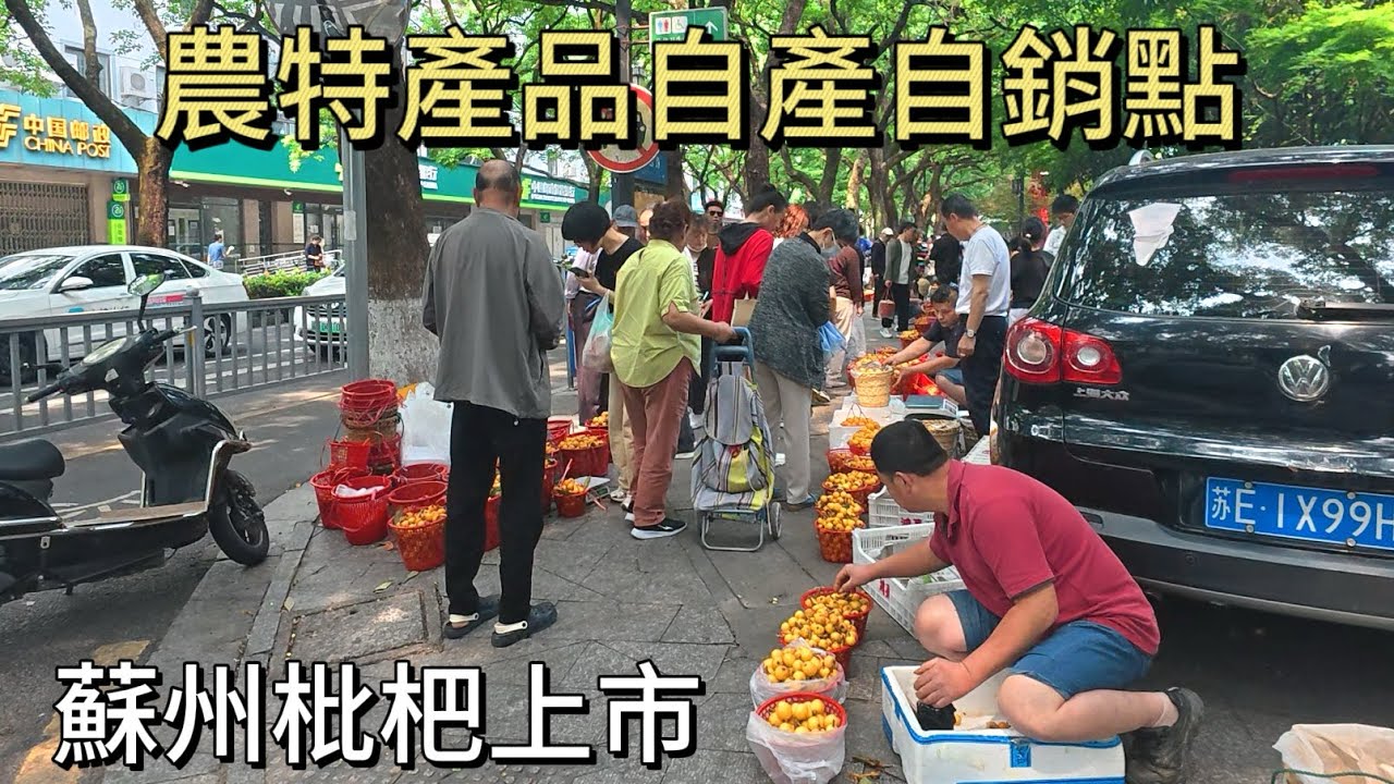 蘇州枇杷上市，到白塔西路上的農特產品自產自銷點看一看。 聚集了众多贩卖自家枇杷的叔叔阿姨，就是口气有点凶……
