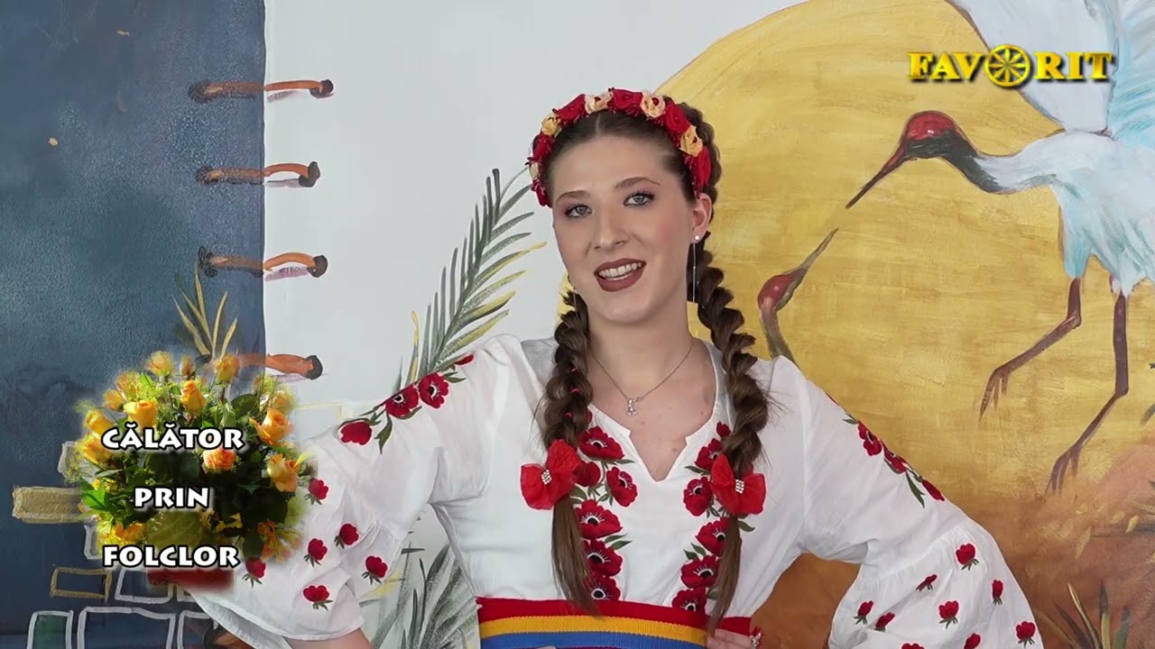 Alina Mihalea   M asteapta badita n drum