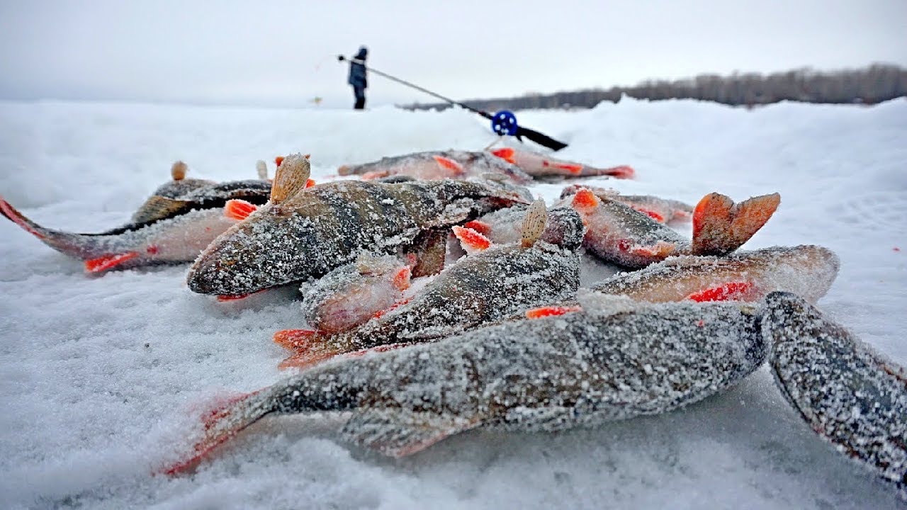 Секретный балансир для мордатых окуней