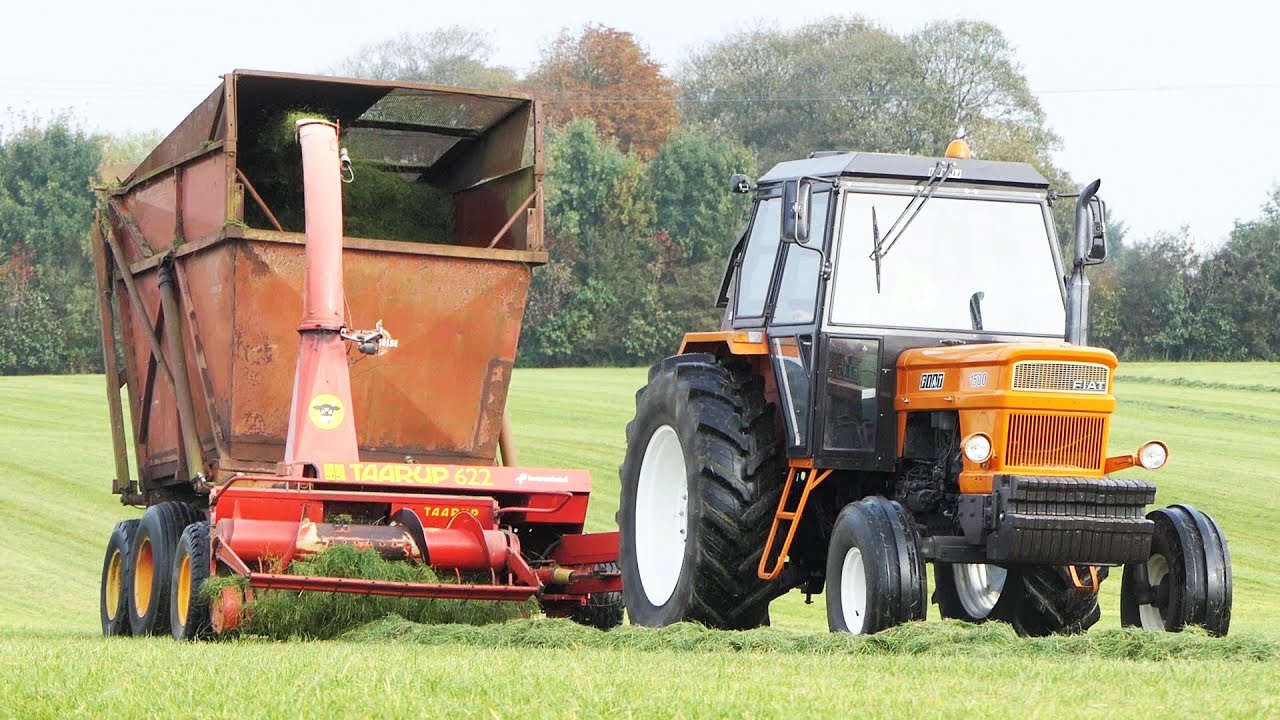 Fiat 1500 in the field chopping grass w/ Taarup 622 Forage Harvest | Silage Season 2021