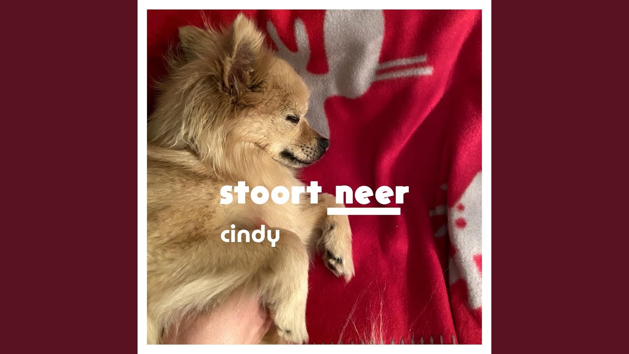 cindy