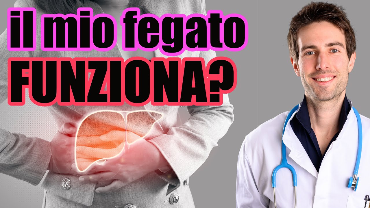 Il mio FEGATO funziona? Capire gli esami del sangue [parte 1/2]