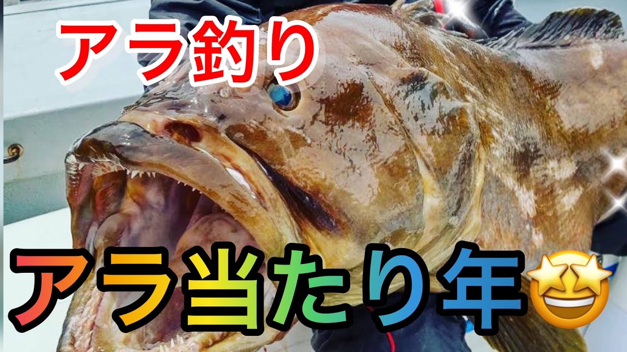 アラ釣り