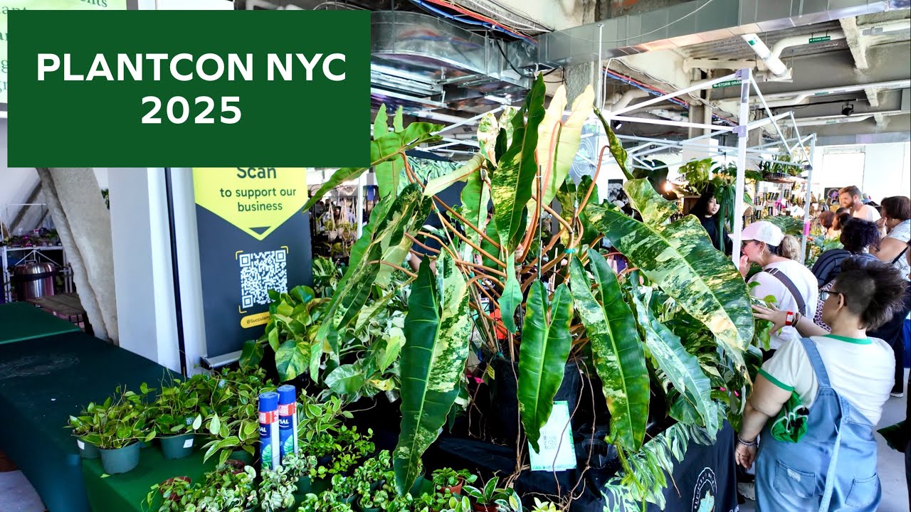 The Ultimate Plant Tour | PlantCon NYC
