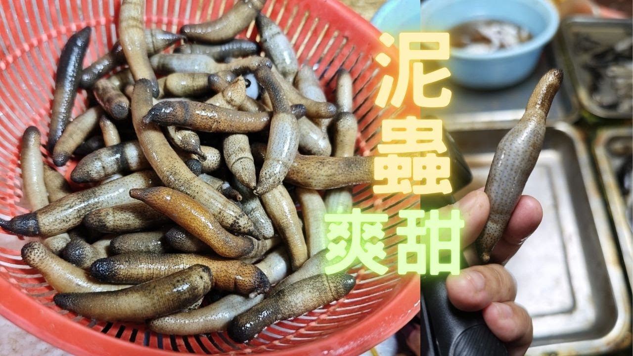 泥蟲,第一次試,爽甜又幾好食😆陽江市場2~fishcutting香港海鮮~社長遊街市Seafood