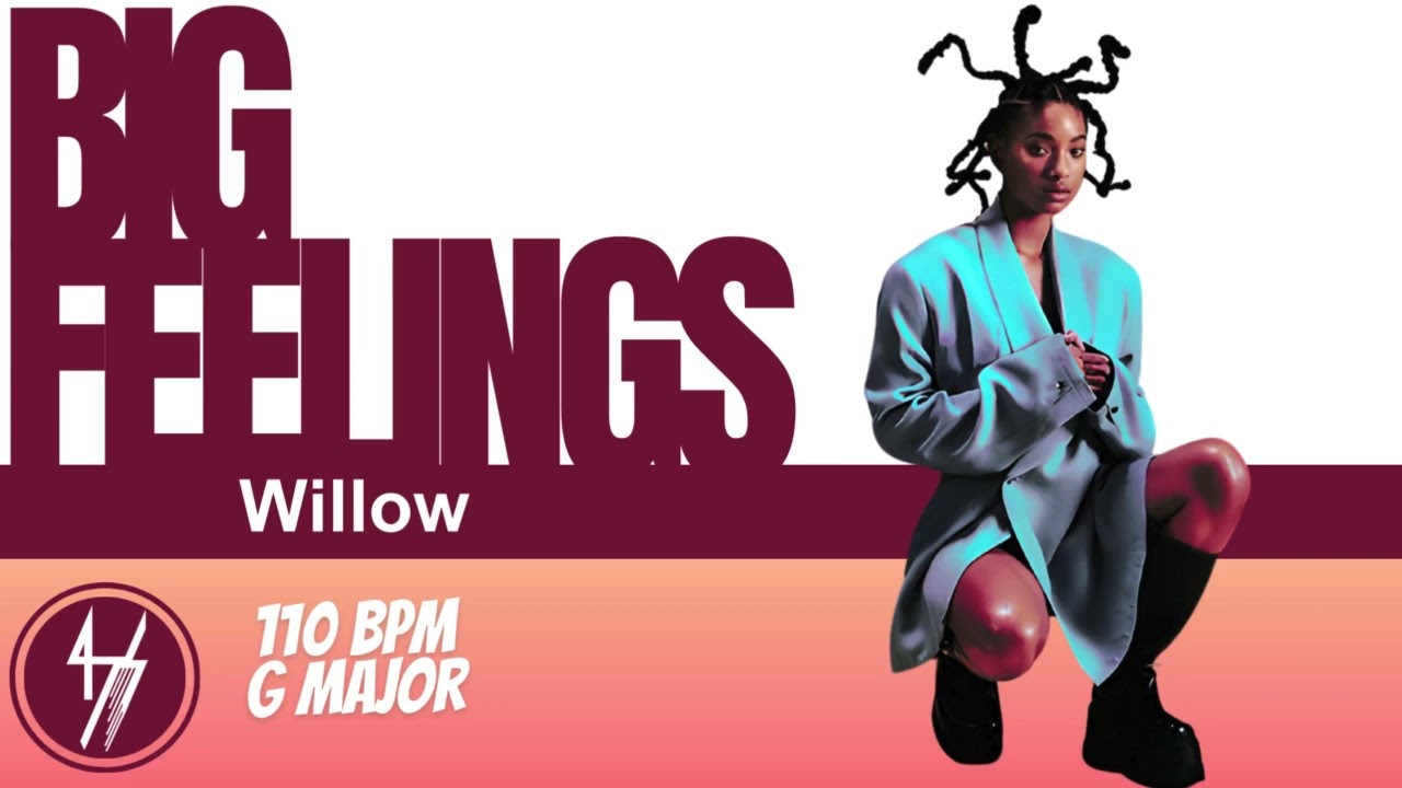 [INSTRUMENTAL] Willow - b i g f e e l i n g s