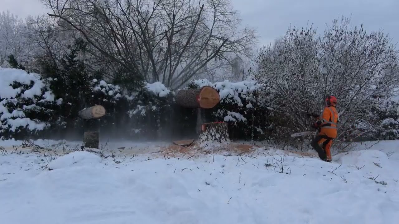 Kuusiaidan päälle meni lehtikuusi!