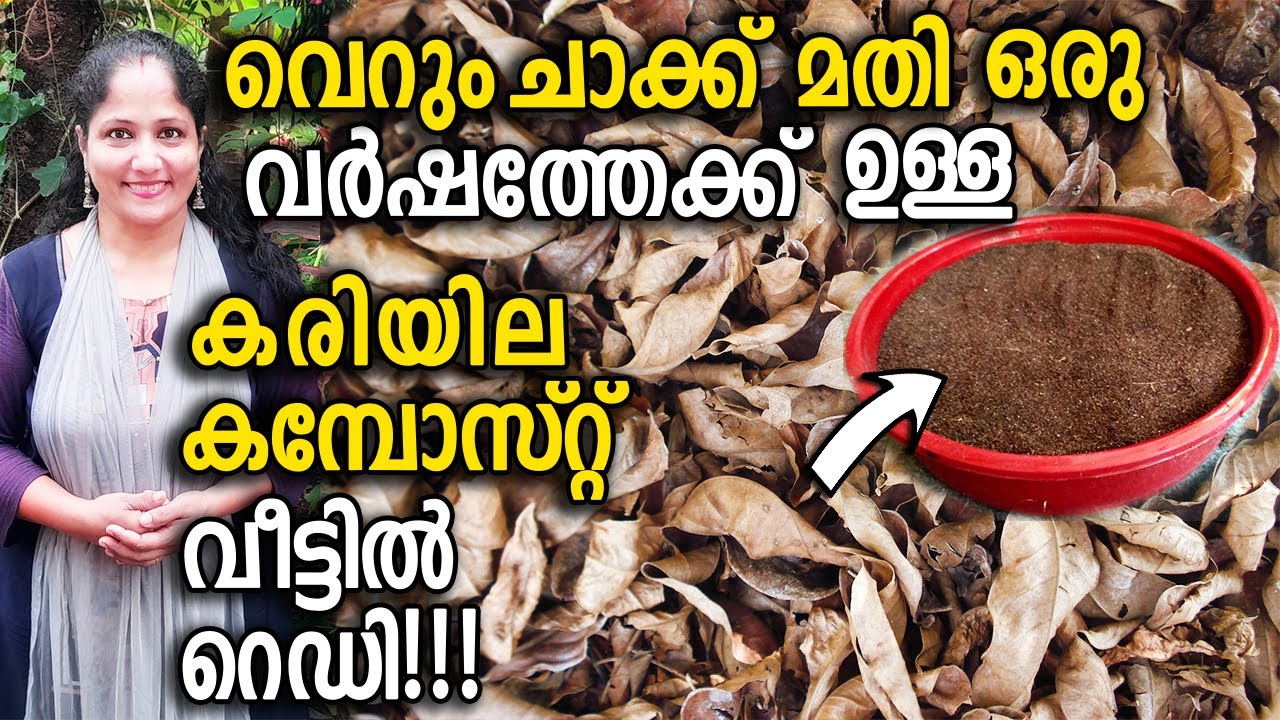 വെറും ചാക്ക് മതി  കരിയില കമ്പോസ്റ്റ് വീട്ടിൽ റെഡി!!! |Easy Dry leaf compost making in Sack Malayalam