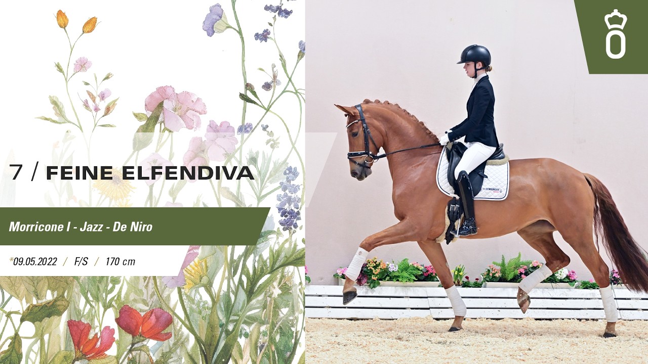 7 Feine Elfendiva - 105. Elite-Auktion - 2026
