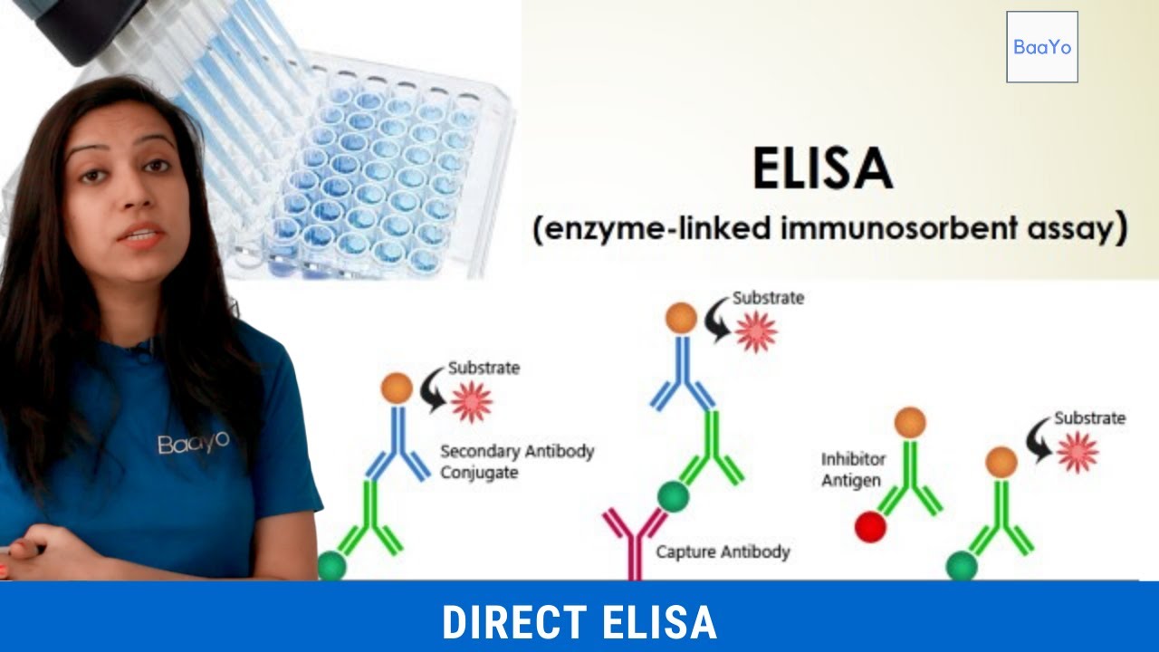 Direct ELISA | Basics Explained