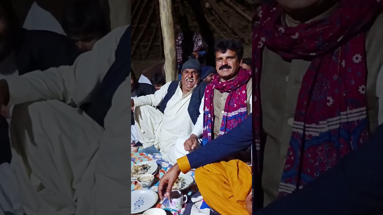 وحيد ڪيريو همراه سان ڏاڍي ڪئي