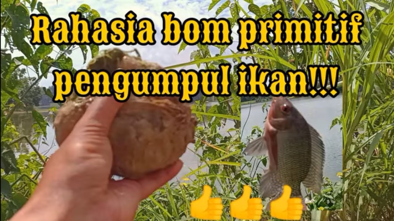 Spot klorak waduk gondang belum banyak orang yang tahu || Rahasia spot ujung selatan WEGO Lamongan!!