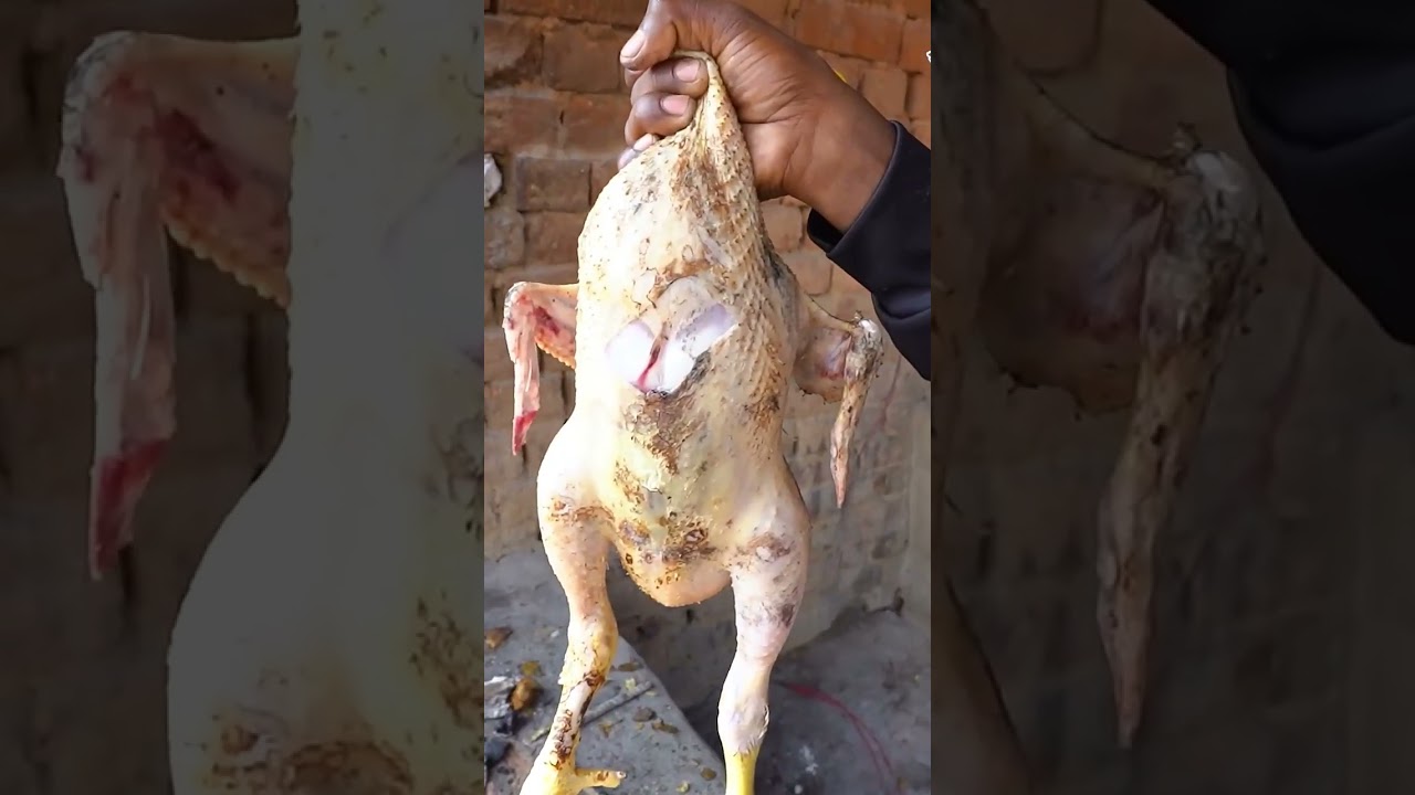 Graeebo Ka 5Star Hotel Making Unlimited Chicken Ricein Ranchi Rs30 #youtubeshorts #viralshort#shorts