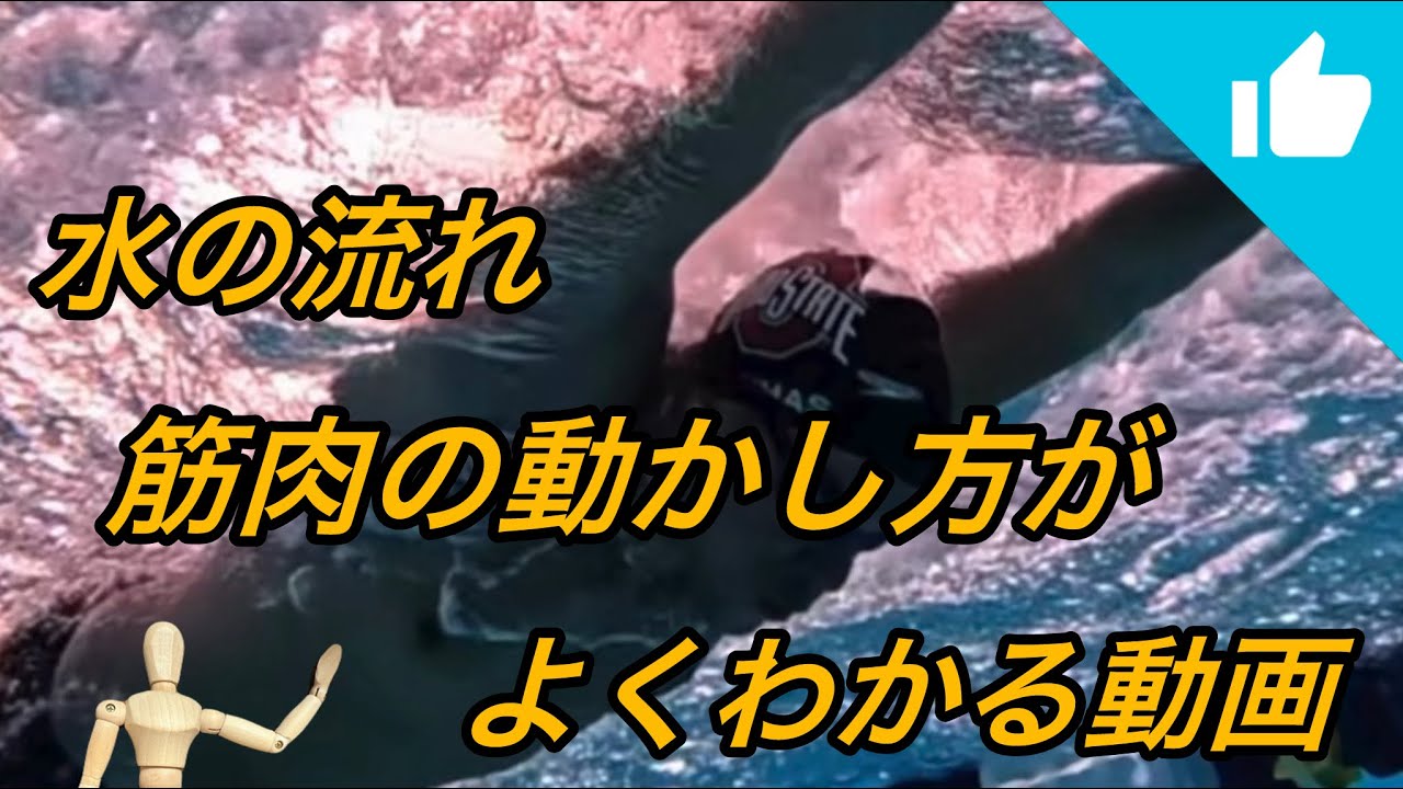 水の流れ 筋肉の動かし方がよくわかる動画