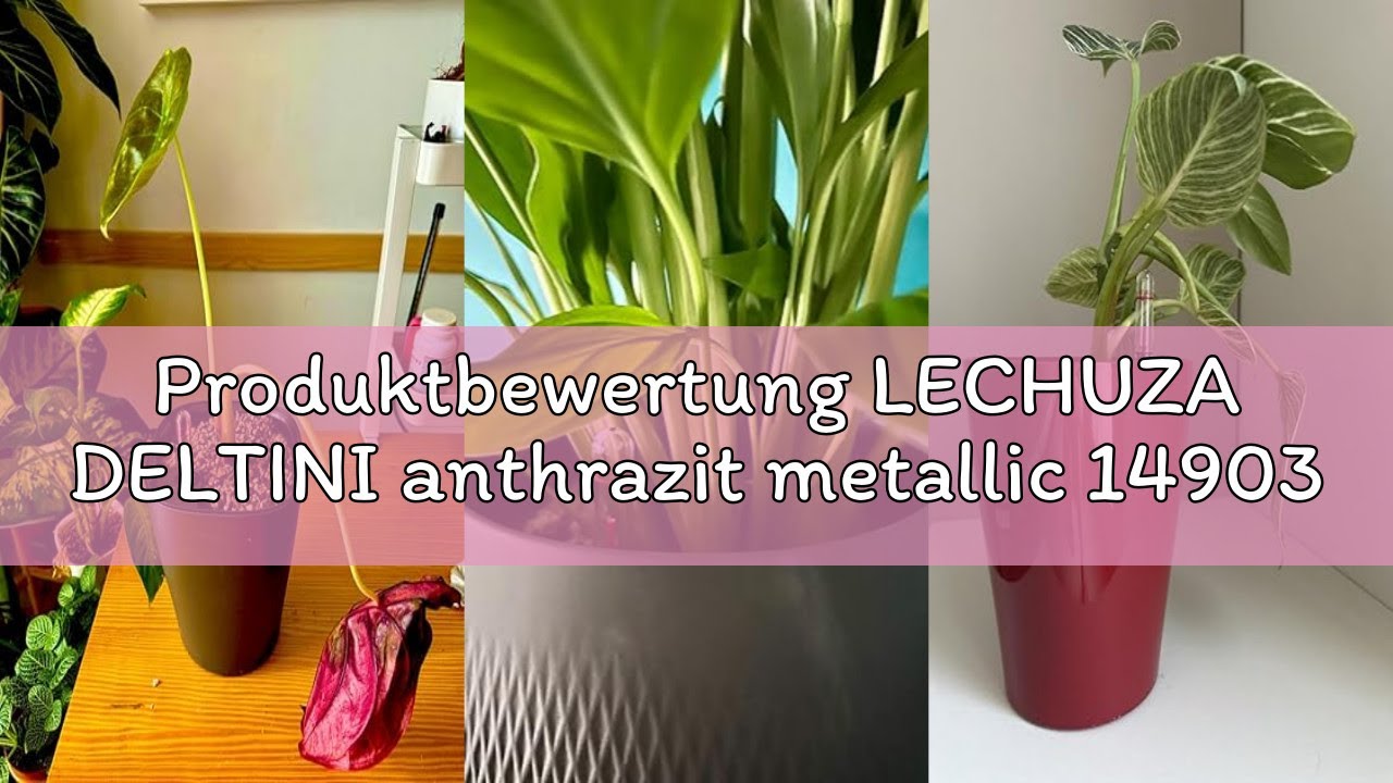 Produktbewertung LECHUZA DELTINI anthrazit metallic 14903