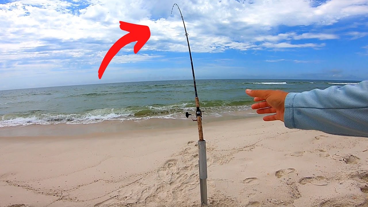 This Fish is Underrated (New PB)