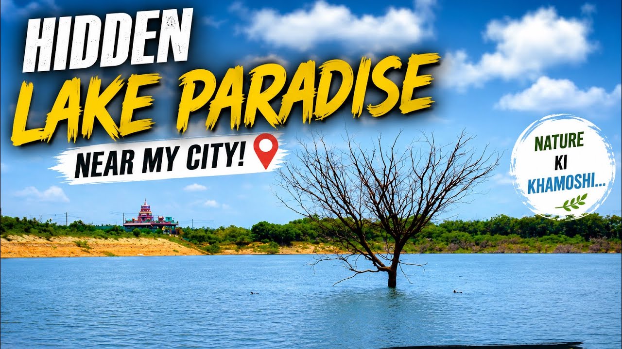 Hesaraghatta Lake Bengaluru | Hidden Nature Paradise Near Bangalore 
