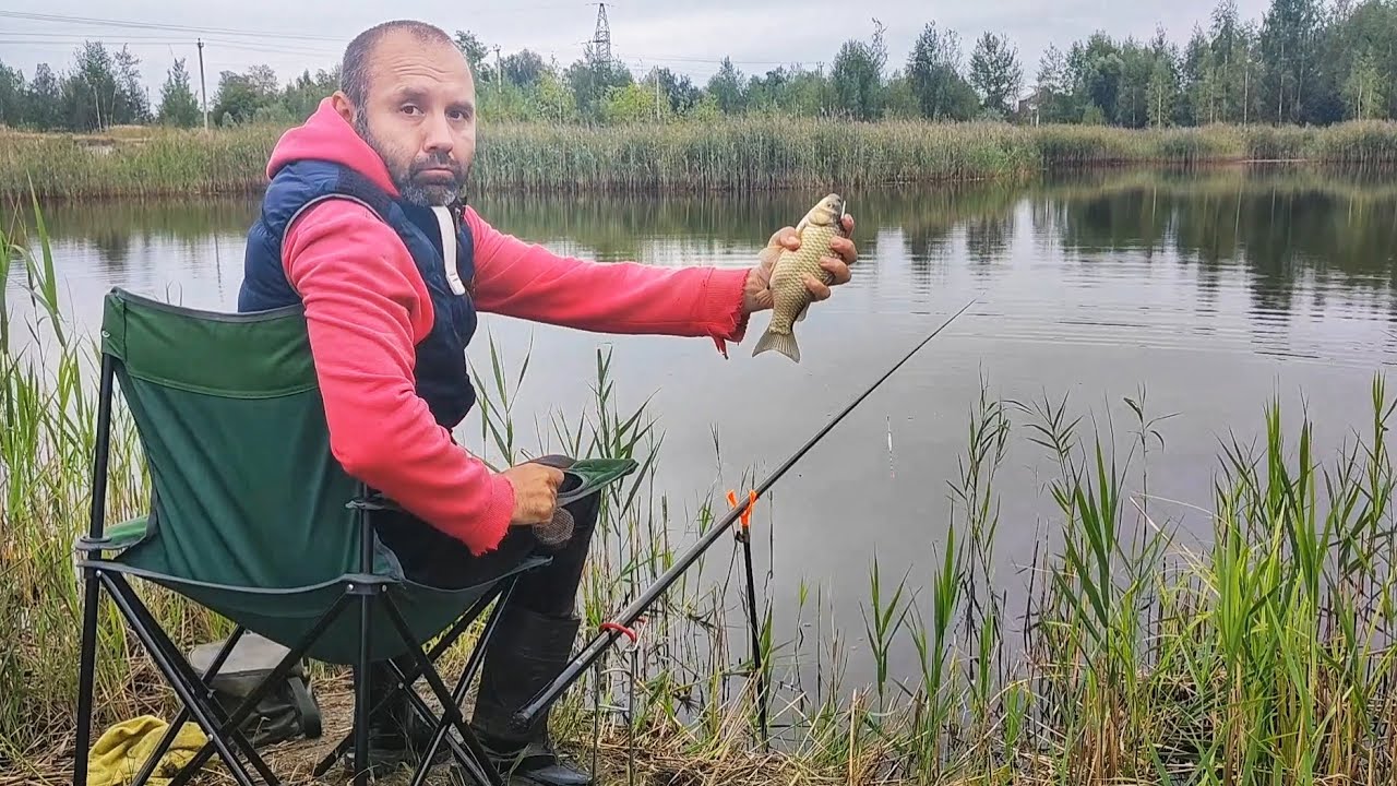 Карась на карьере в конце августа