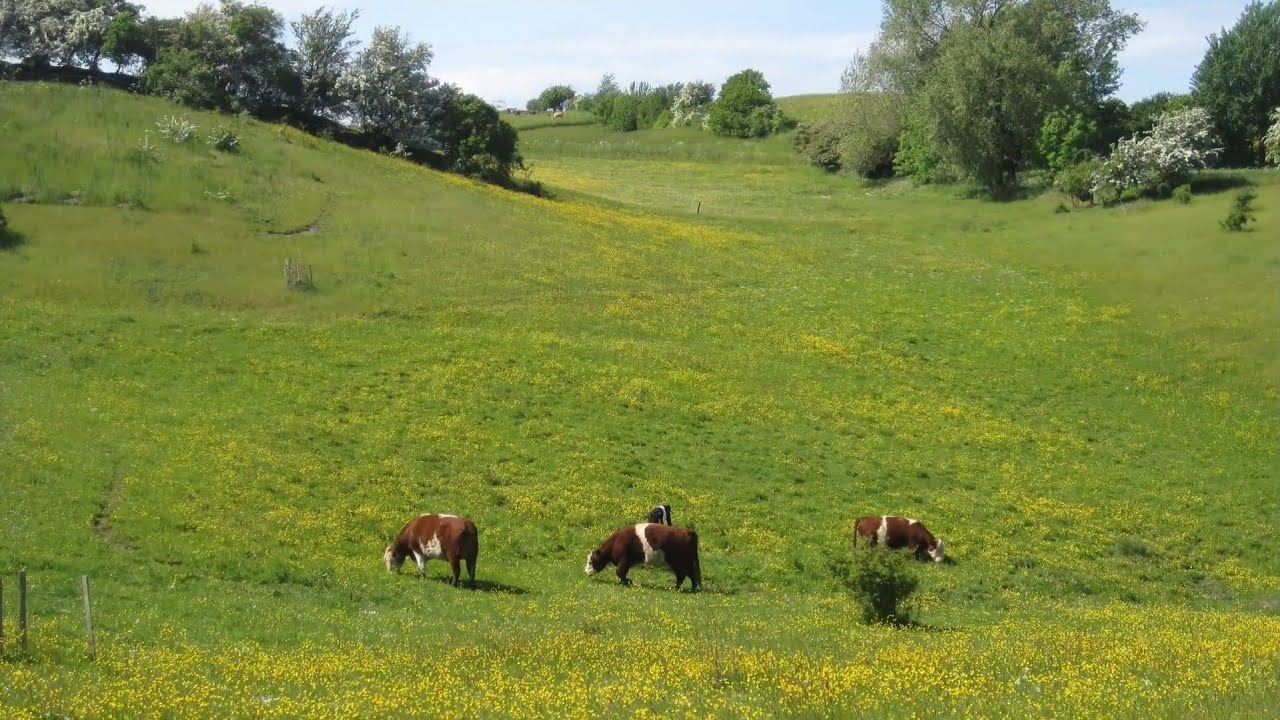 Ærø, Denmark