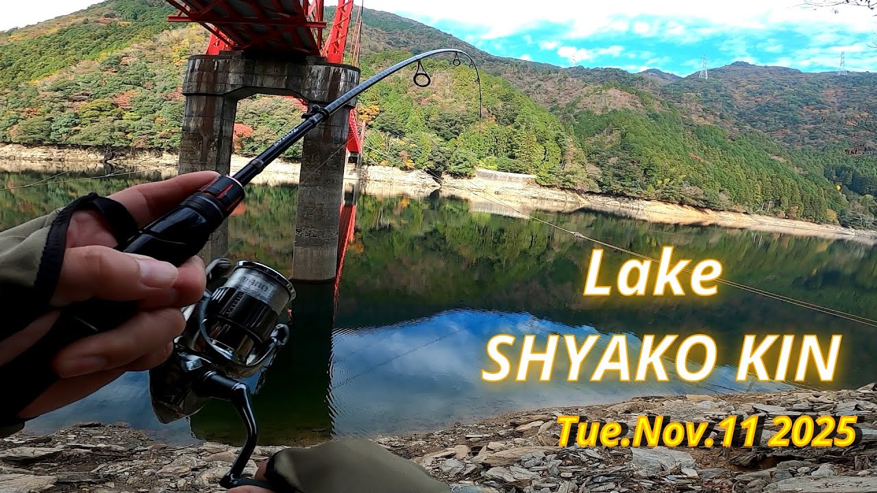 Lake SHAKO KIN Nov.11 2025 / Bass Fishing Trip in Japan