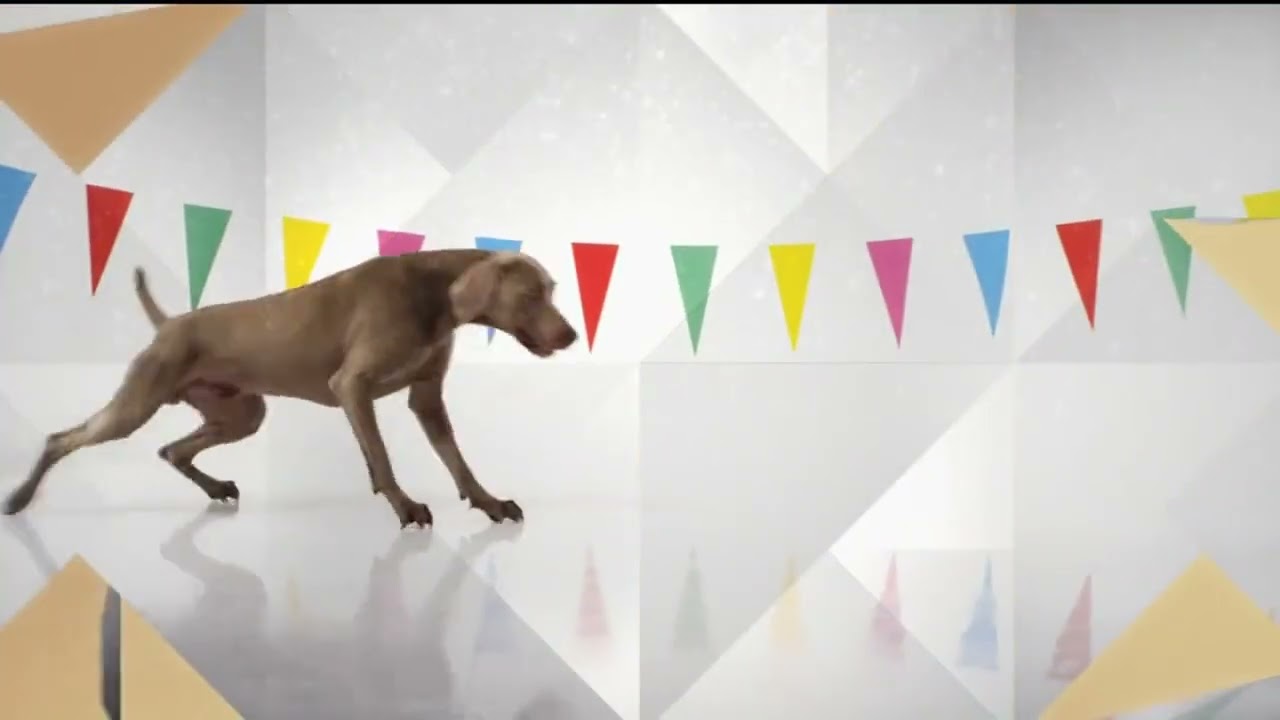 TVP HD Ident