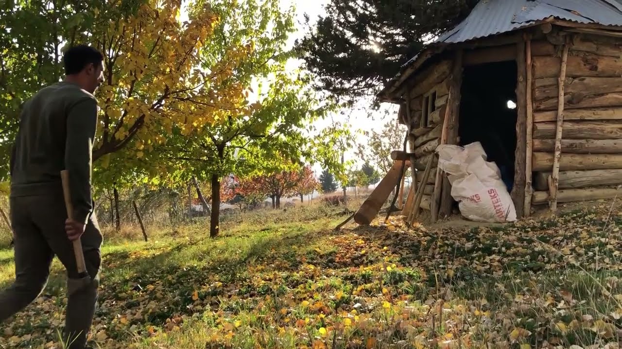 AĞAÇ EVDE SONBAHAR /ÇAY