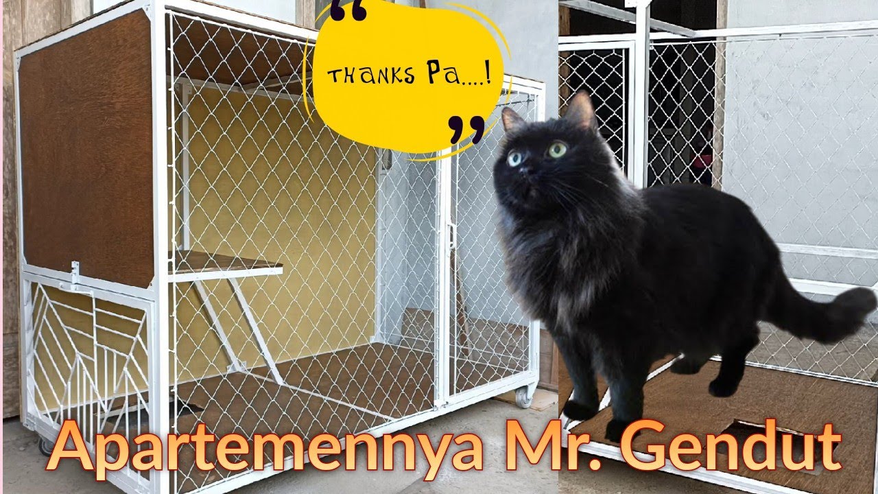 AKU BUATKAN KUCINGKU APARTEMEN YANG SIMPEL, SEMOGA IA SUKA 😽 Kandang kucing