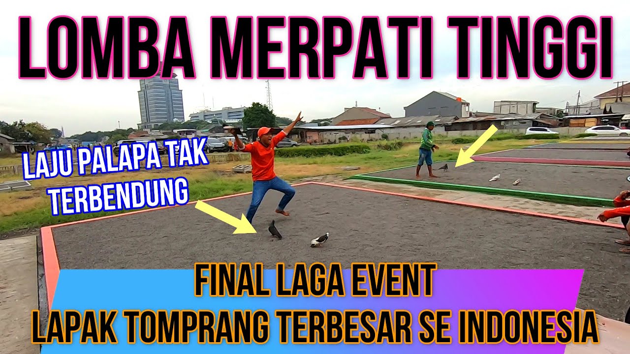 Kandang Merah Borong Juara 1 dan 2 Laga Final Turnamen Merpati Tomprang Pondok Kopi