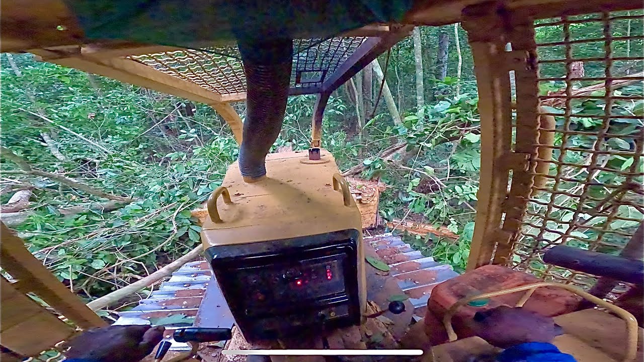Trator Esteira D6M abrindo estrada no manejo florestal visão em primeira pessoa. Mafia da tora